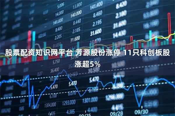 股票配资知识网平台 芳源股份涨停 11只科创板股涨超5%