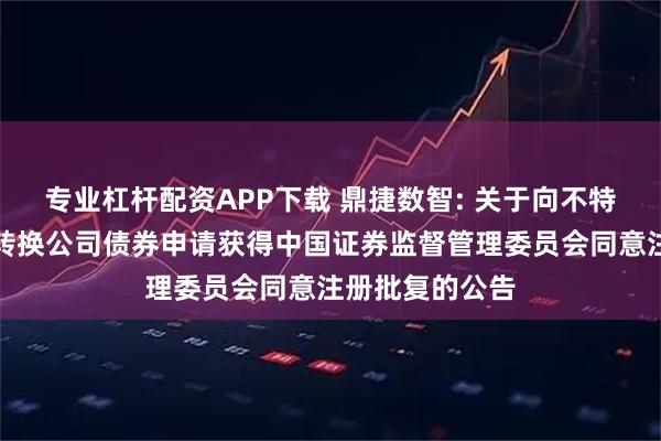专业杠杆配资APP下载 鼎捷数智: 关于向不特定对象发行可转换公司债券申请获得中国证券监督管理委员会同意注册批复的公告