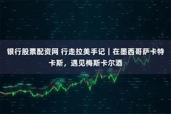 银行股票配资网 行走拉美手记｜在墨西哥萨卡特卡斯，遇见梅斯卡尔酒