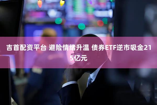 吉首配资平台 避险情绪升温 债券ETF逆市吸金215亿元